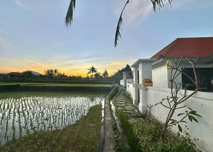 Dream Cozy 2bedroom Ricefields Villa